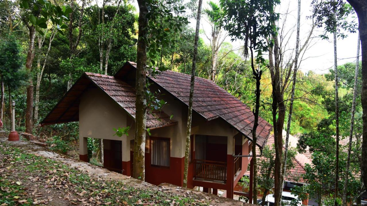 Terrace Resorts Wayanad Exteriér fotografie