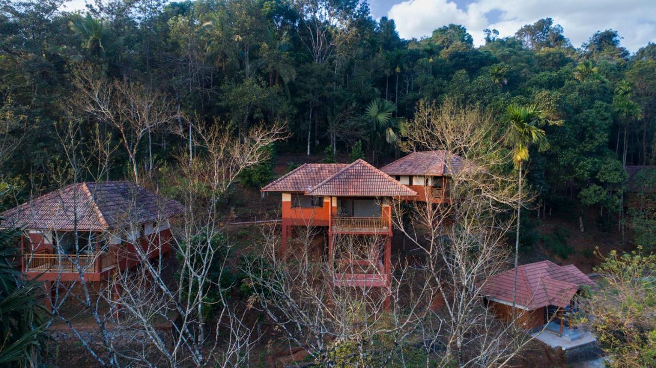 Terrace Resorts Wayanad Exteriér fotografie