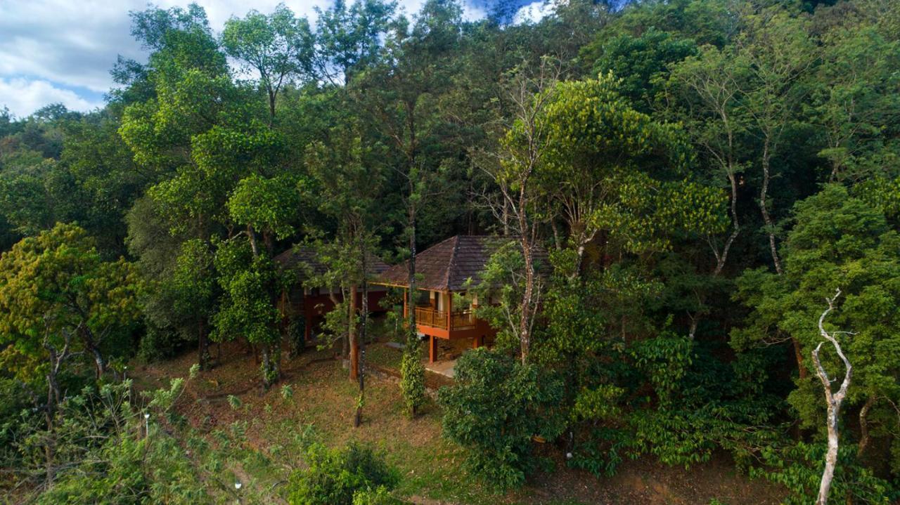 Terrace Resorts Wayanad Exteriér fotografie