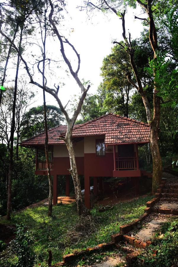 Terrace Resorts Wayanad Exteriér fotografie
